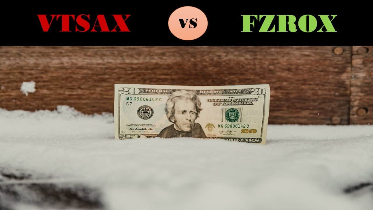 VTSAX vs FZROX, who is the best? - The Frugal Expat