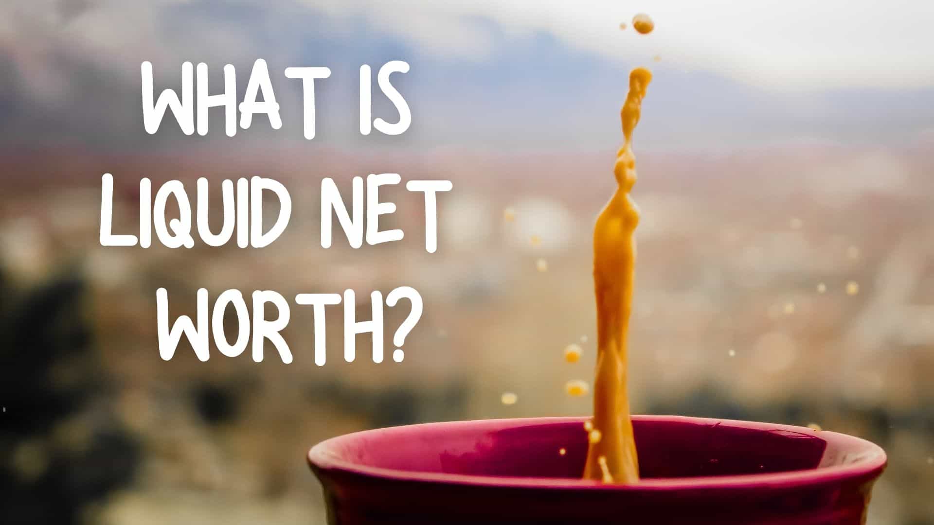 What is Liquid Net Worth?
