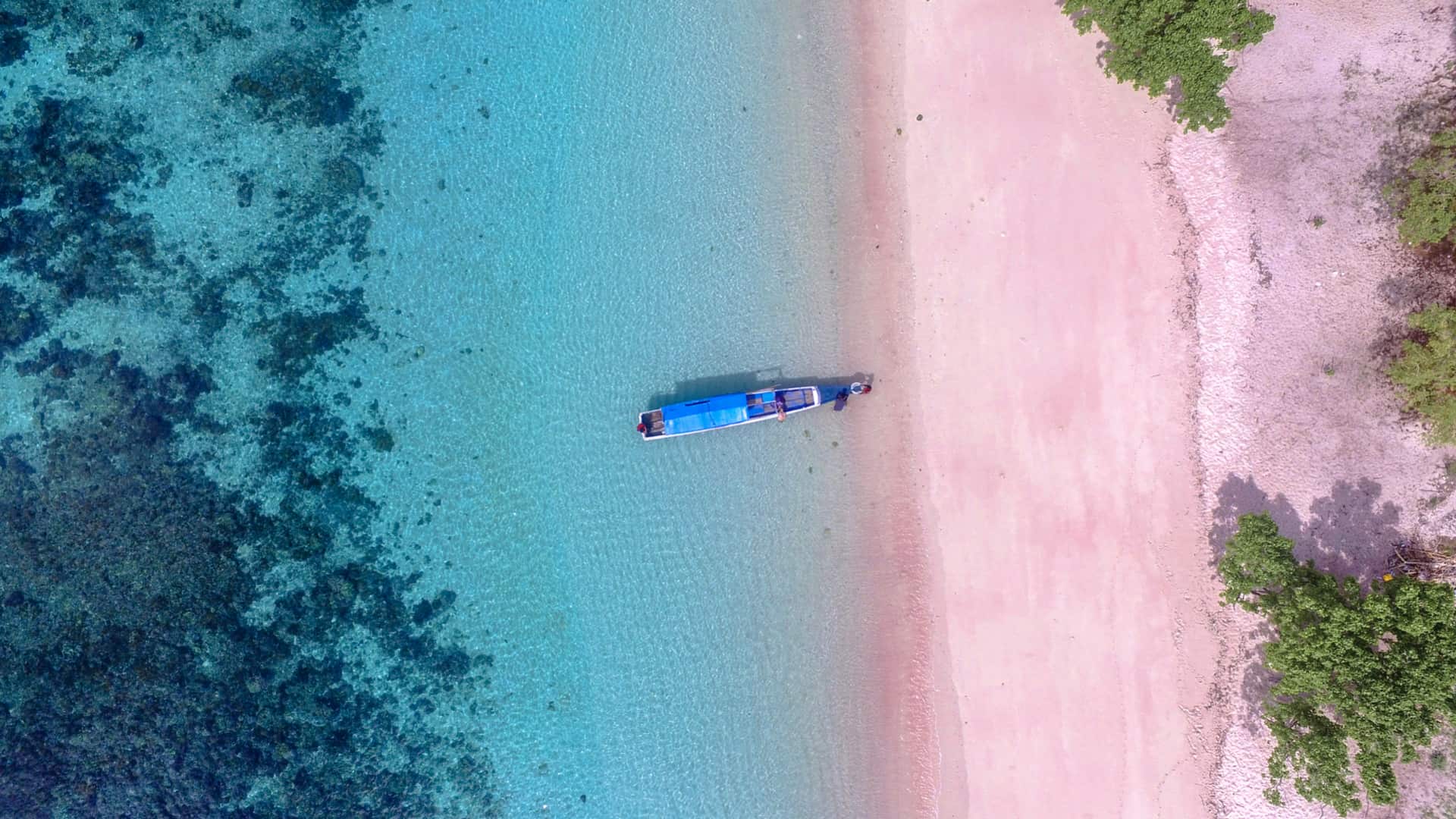 pink sand beaches