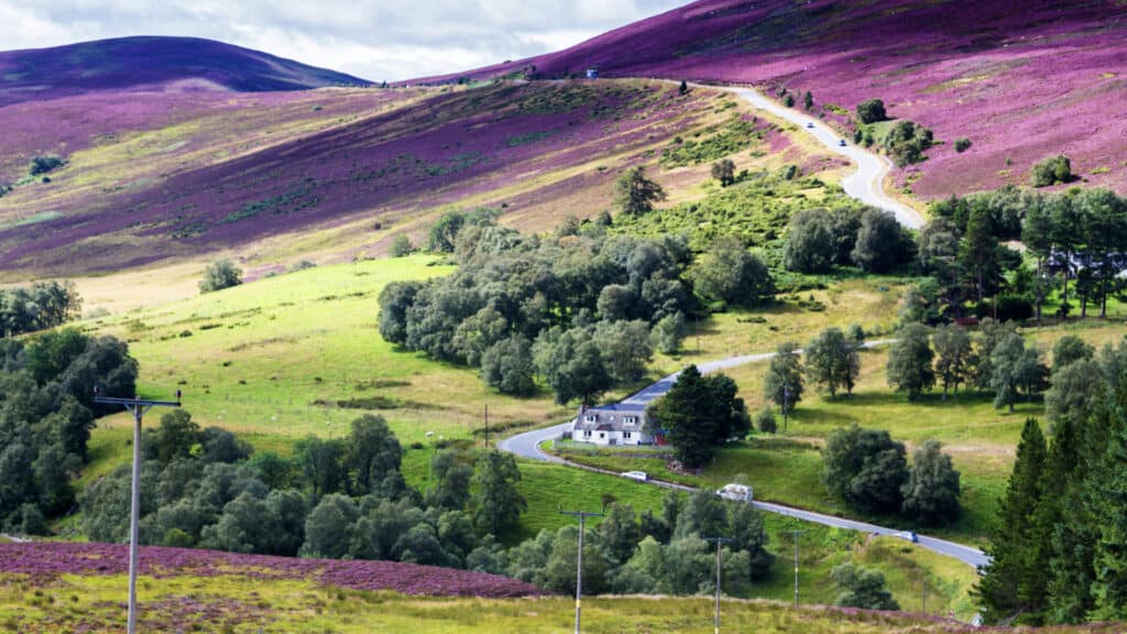 The Cairngorms