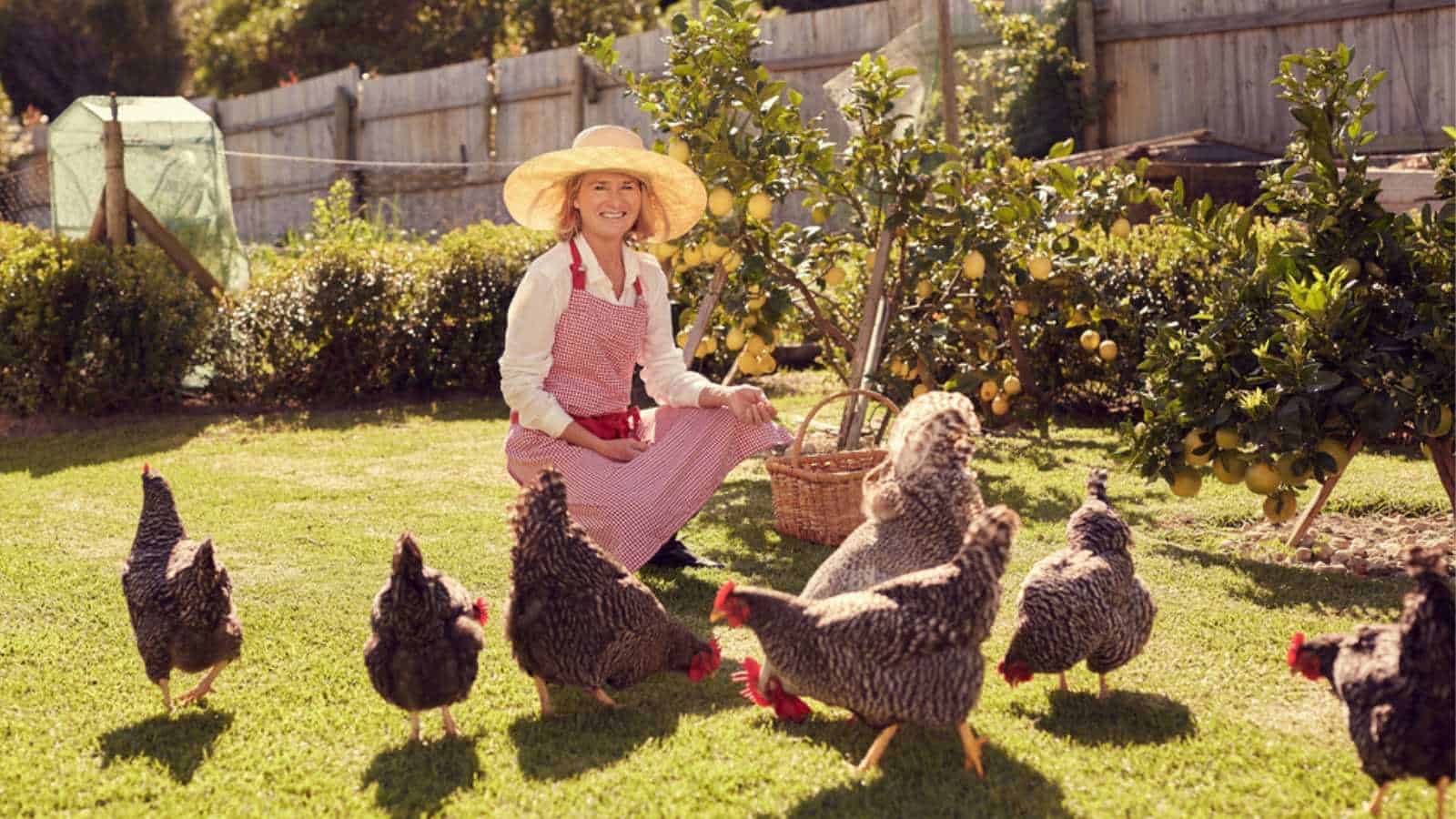 Woman in farm with chickens