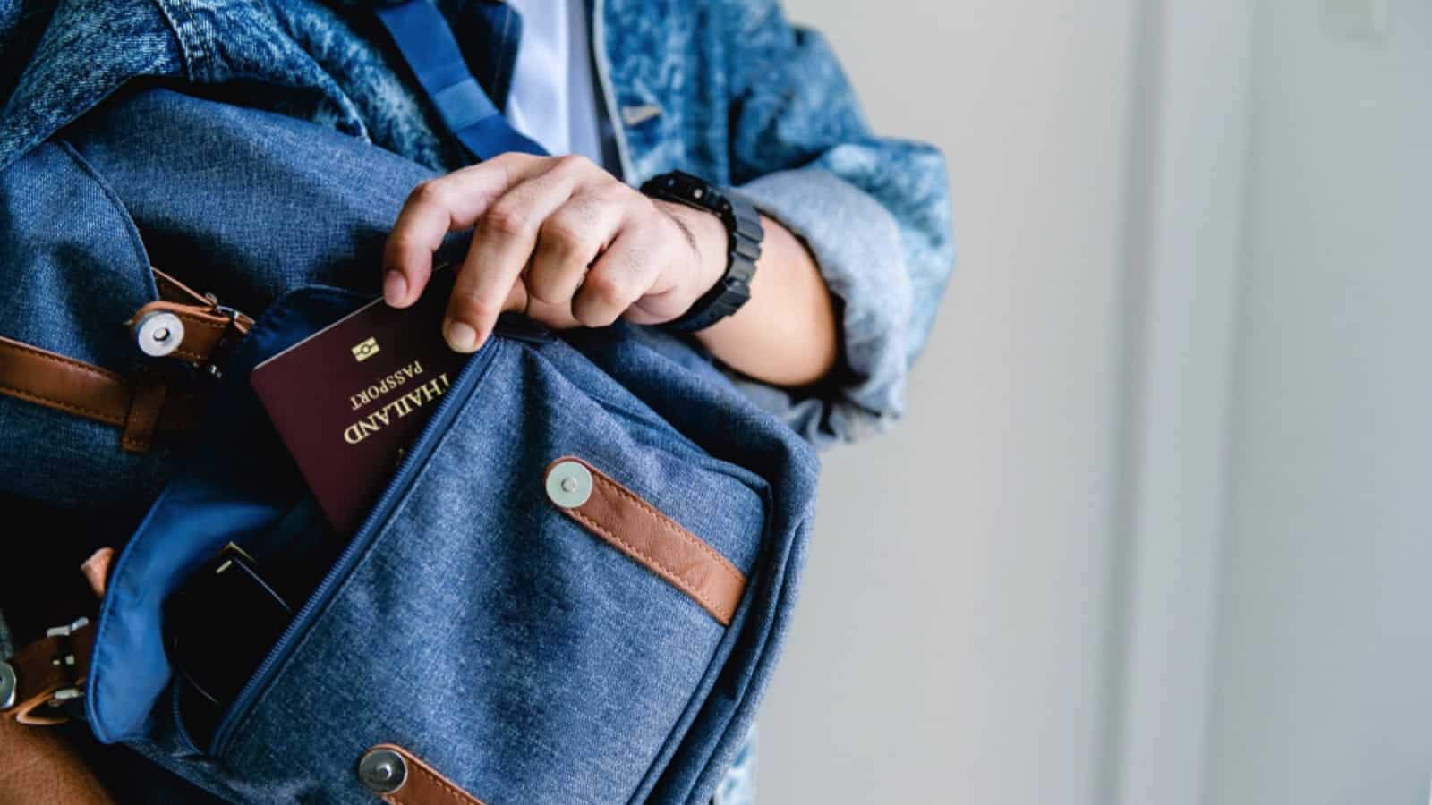 Passport in zipper bag