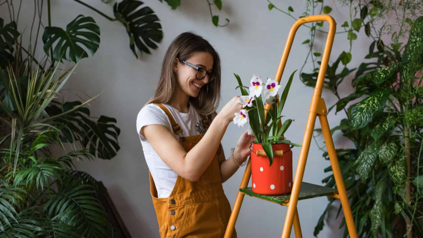 Woman decorating house with plants