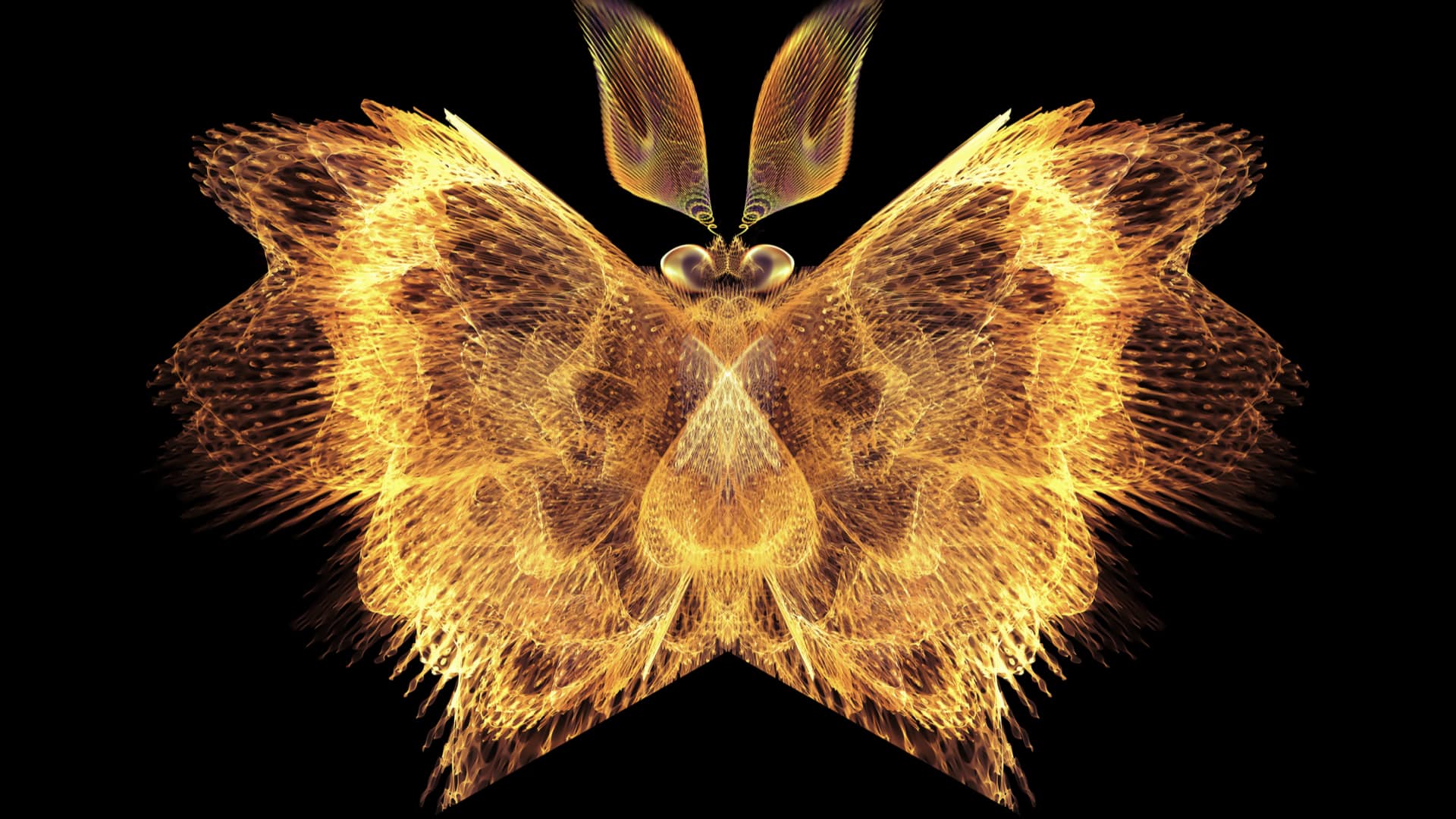 The Golden Butterfly Portfolio